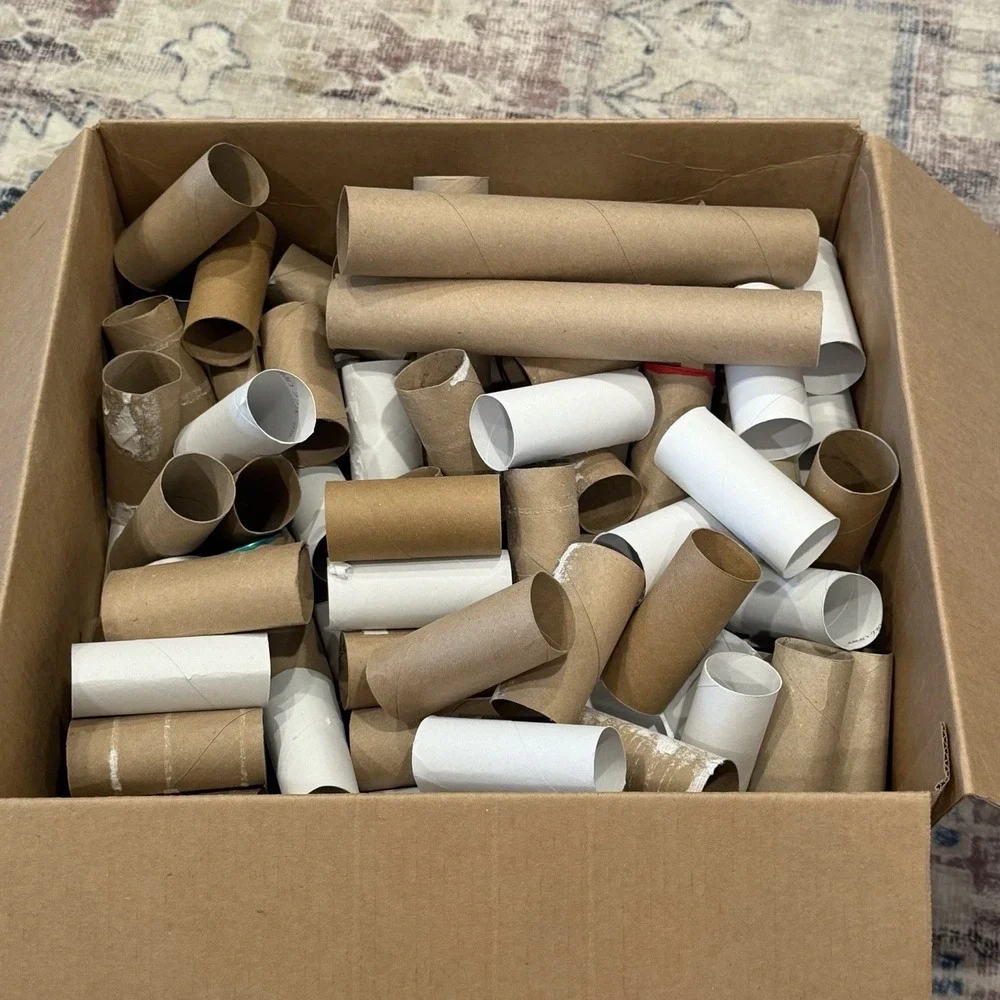 150+ Empty Toilet Paper Rolls Paper Towel Cardboard Tubes Art Craft DIY Projects